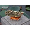 高檔汽車(chē)招財(cái)金龍魚(yú)香水座 車(chē)載香薰座香水瓶創(chuàng)意車(chē)用擺件車(chē)飾品