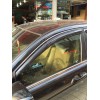 汽車專用雨擋