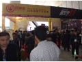 第十三屆中國(guó)（臨沂）汽車用品交易會(huì) (12)