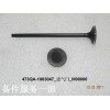 473QA-1003047_進(jìn)氣門(mén)_M00000